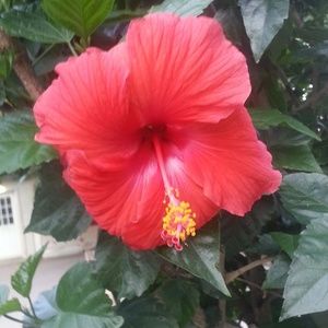 Meet your Posher, Dia